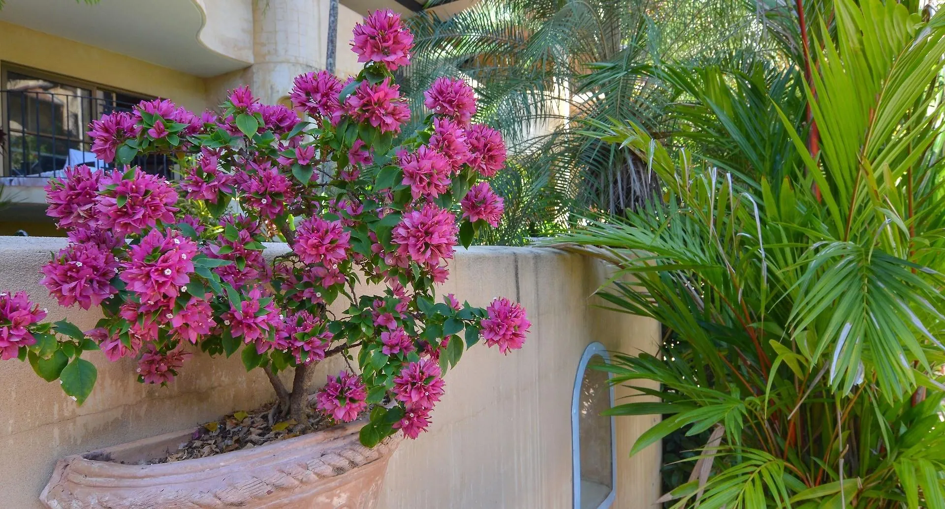 Villa San Michele Port Douglas