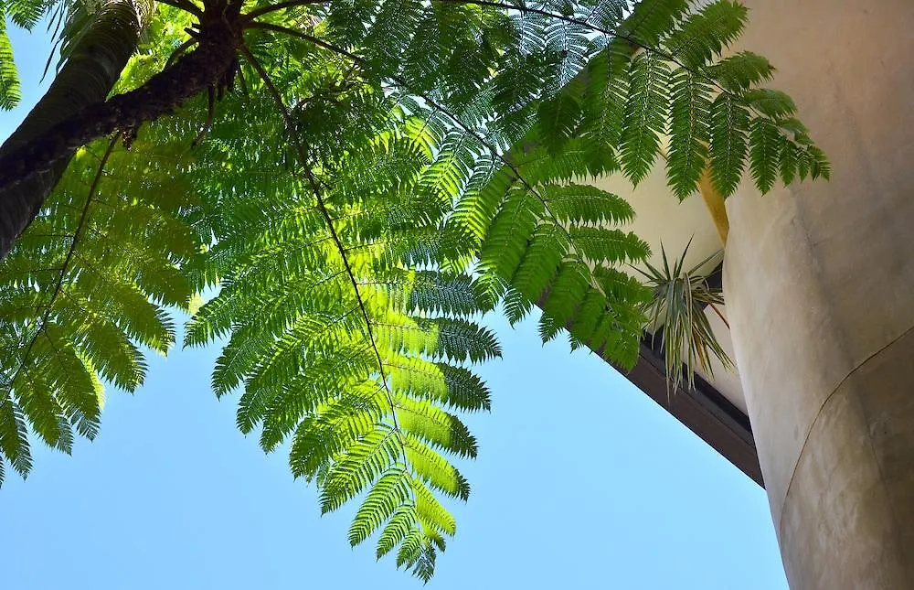 Villa San Michele Port Douglas Australia